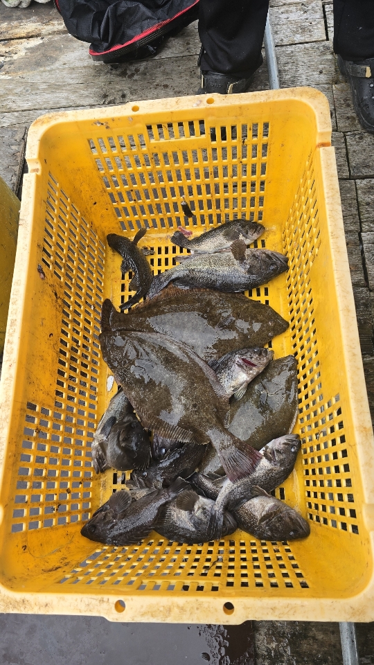 d131a651c3d5f35749813843629f1fab_1761782847_2028.jpg d131a651c3d5f35749813843629f1fab_1761782847_2028.jpg