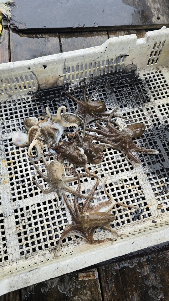 d131a651c3d5f35749813843629f1fab_1761782847_328.jpg d131a651c3d5f35749813843629f1fab_1761782847_328.jpg