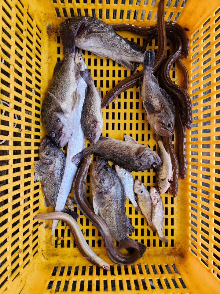 d131a651c3d5f35749813843629f1fab_1761782847_5299.jpg d131a651c3d5f35749813843629f1fab_1761782847_5299.jpg