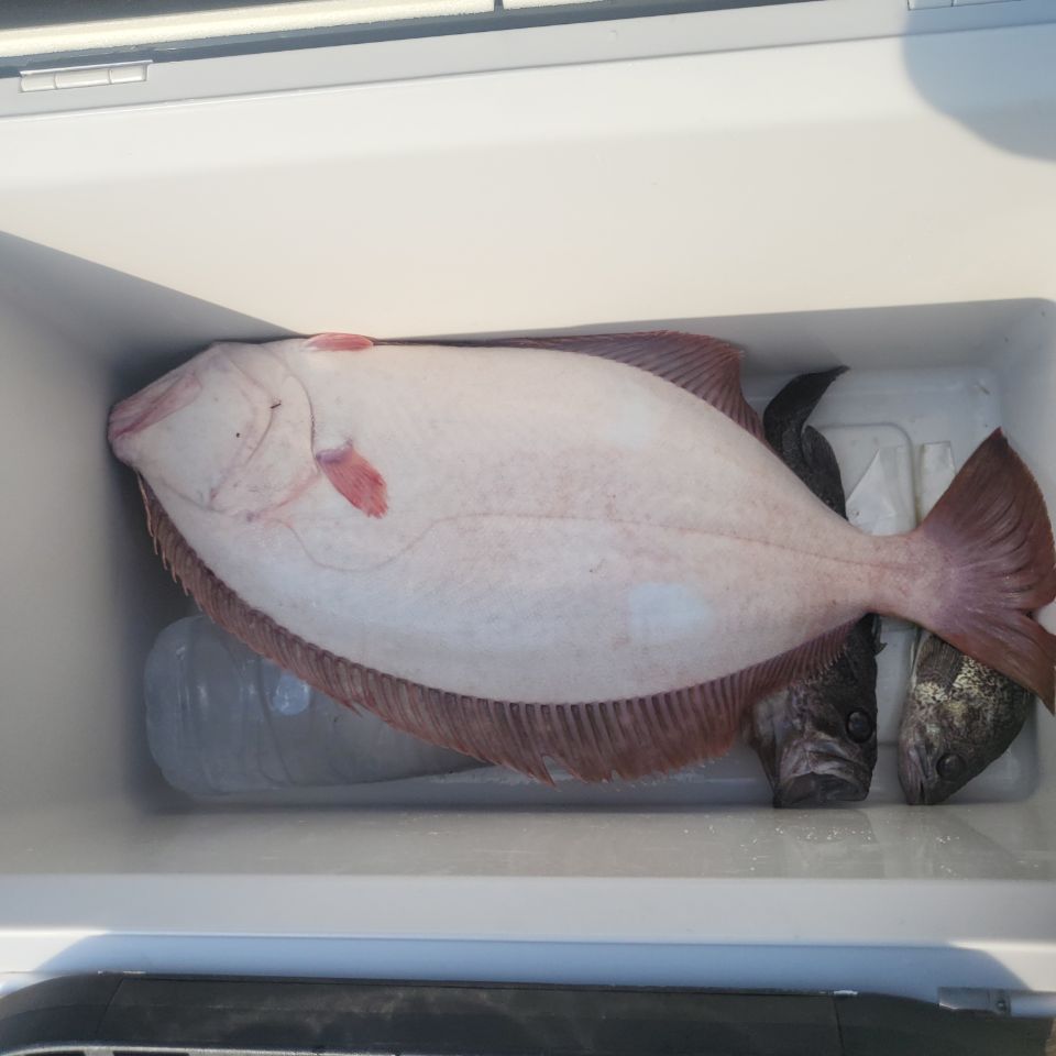 d131a651c3d5f35749813843629f1fab_1761782847_6199.jpg d131a651c3d5f35749813843629f1fab_1761782847_6199.jpg