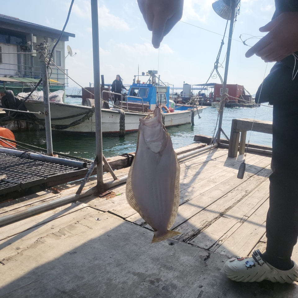 d131a651c3d5f35749813843629f1fab_1761782847_7799.jpg d131a651c3d5f35749813843629f1fab_1761782847_7799.jpg