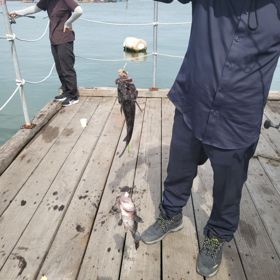 d131a651c3d5f35749813843629f1fab_1761782848_0845.jpg d131a651c3d5f35749813843629f1fab_1761782848_0845.jpg