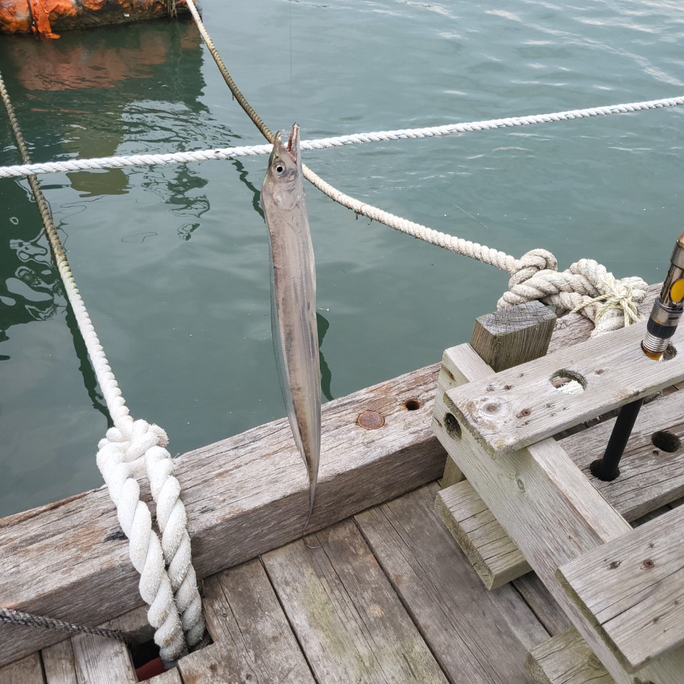 d131a651c3d5f35749813843629f1fab_1761782848_2102.jpg d131a651c3d5f35749813843629f1fab_1761782848_2102.jpg