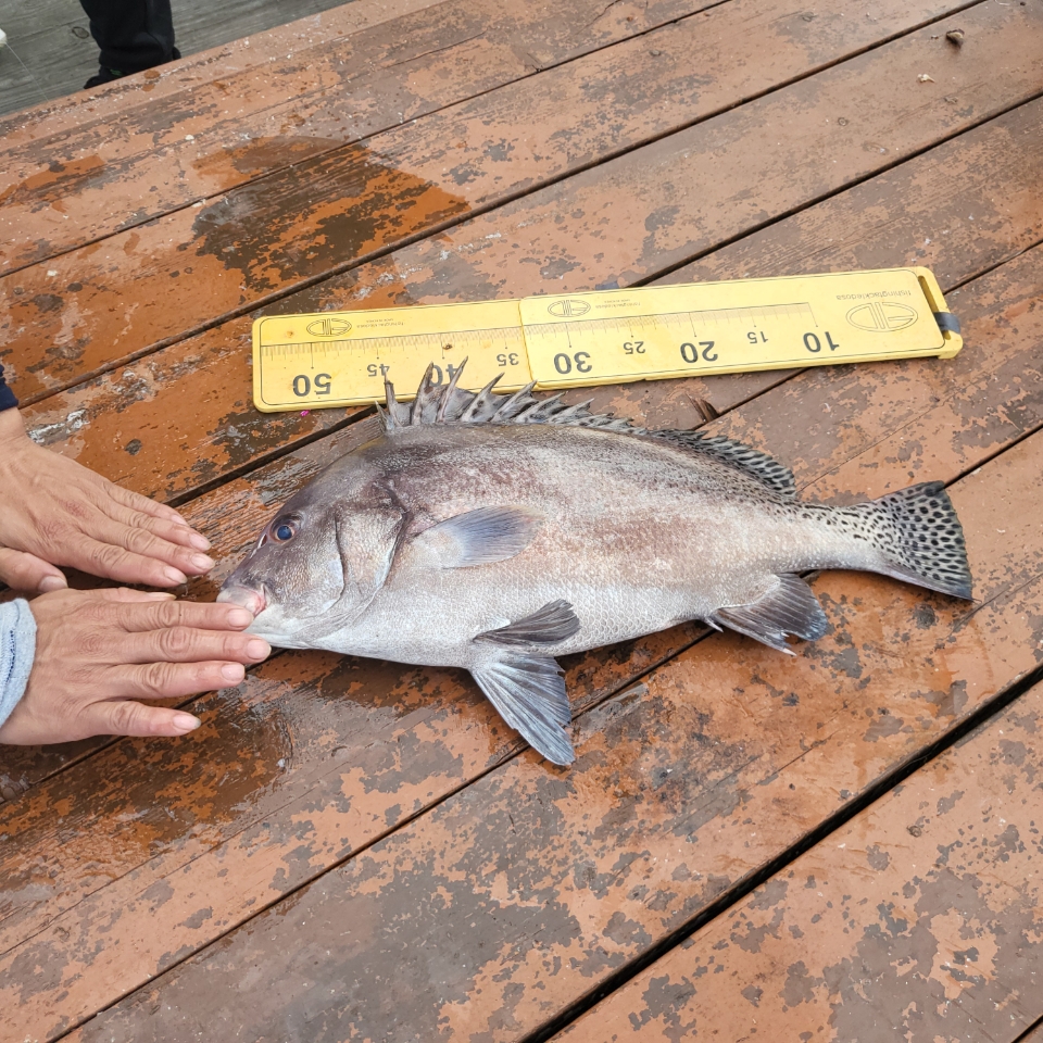 d131a651c3d5f35749813843629f1fab_1761782848_3884.jpg d131a651c3d5f35749813843629f1fab_1761782848_3884.jpg